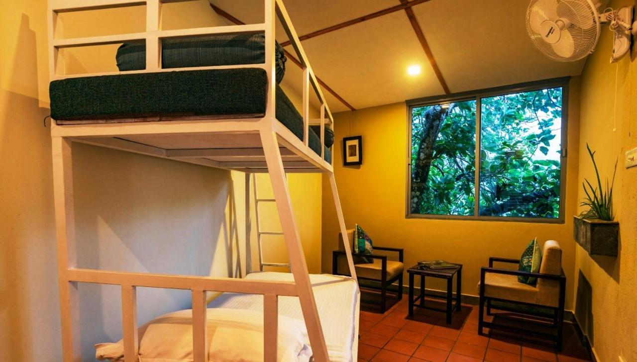 Mistletoe & Cafe Munnar