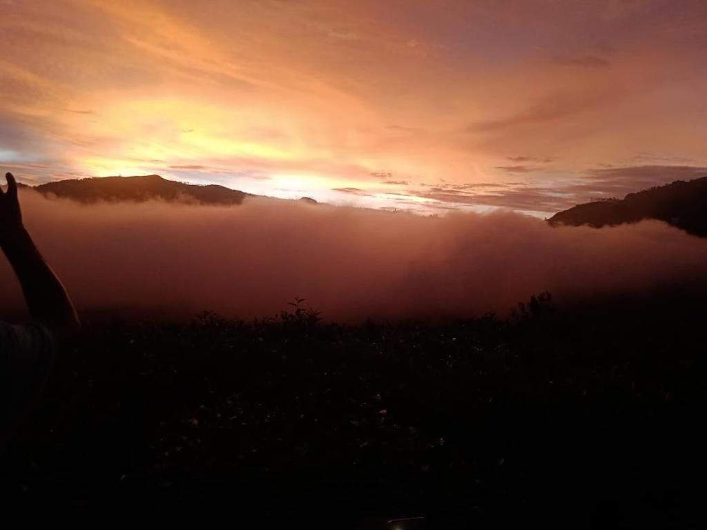 The Nirvana Resort Munnar