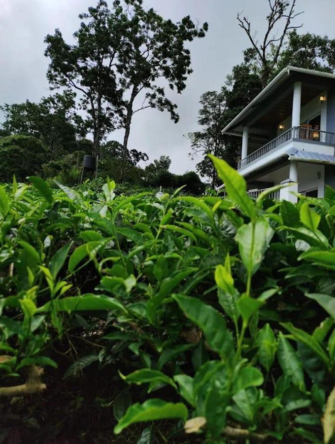 The Nirvana * Munnar