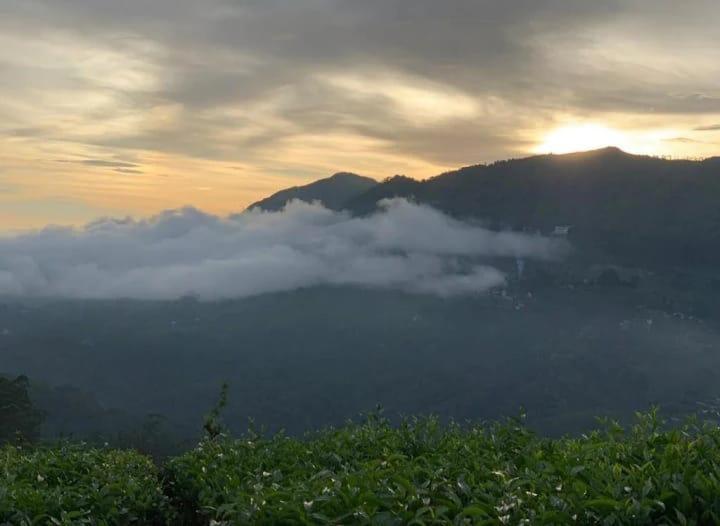 Resort The Nirvana Munnar