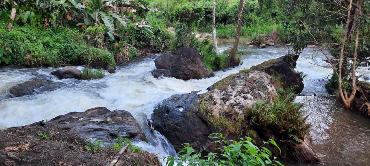Maliyeckal Homestay Munnar