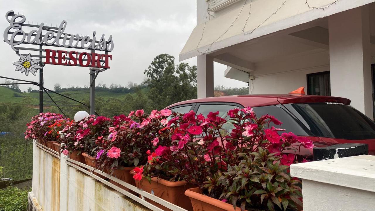 Edelweiss Lodge Munnar