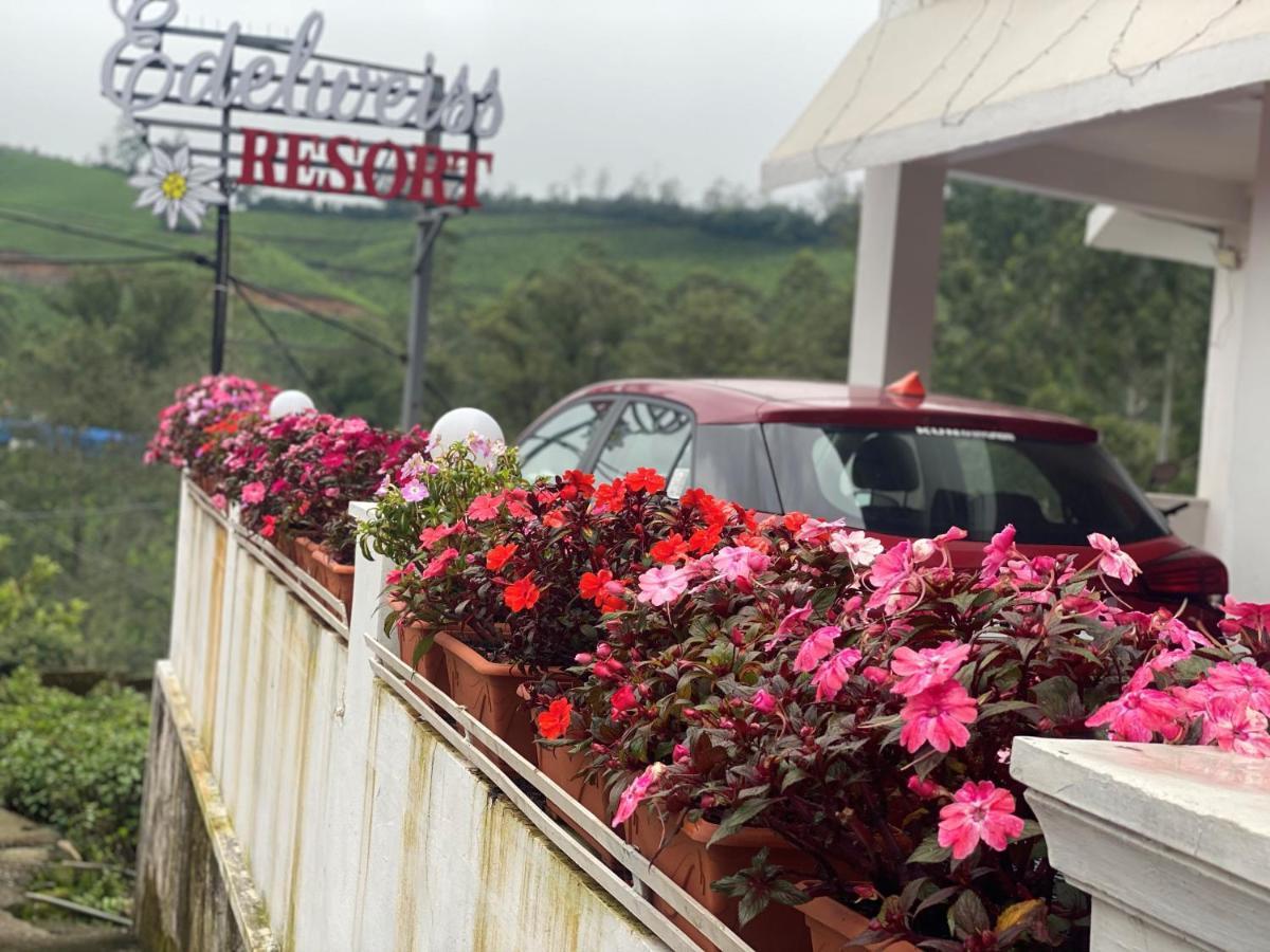 Edelweiss Lodge Munnar