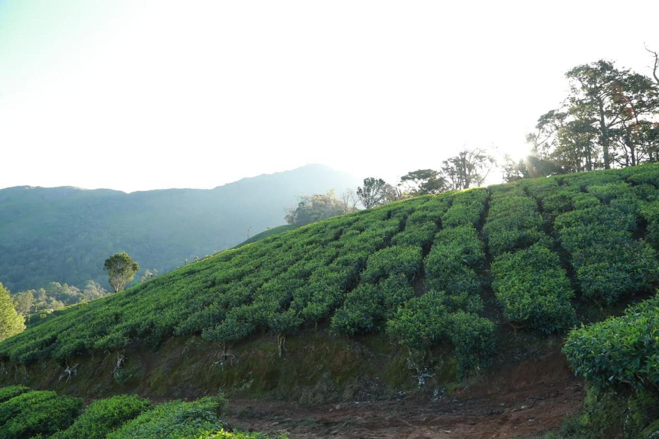 The Nirvana * Munnar