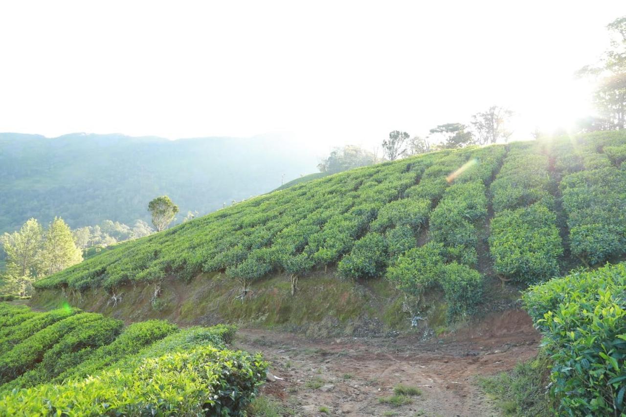 The Nirvana Resort Munnar