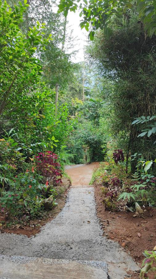 Pepper County Farm Farm stay Munnar
