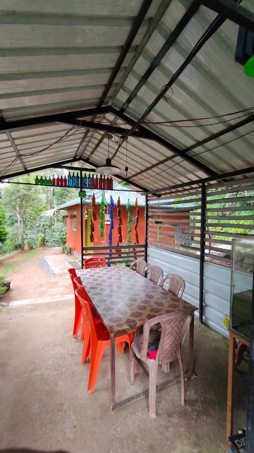 Pepper County Farm Munnar