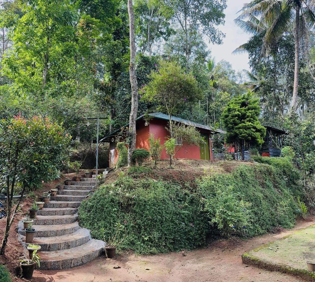 Farm stay Pepper County Farm Munnar
