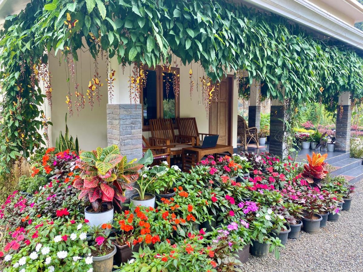 Homestay Flower Valley Plantation Munnar