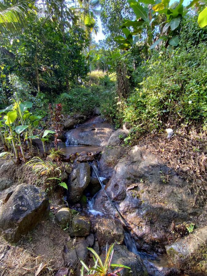 Maliyeckal Munnar