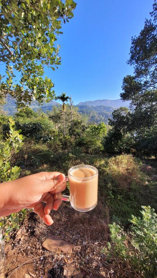 Hostel 3r Residency Munnar