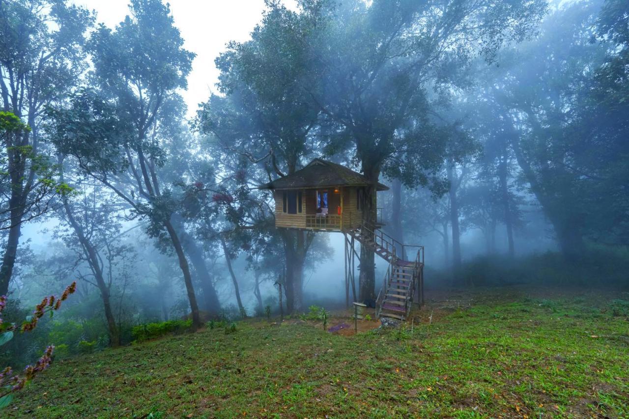 Nature Zone Jungle