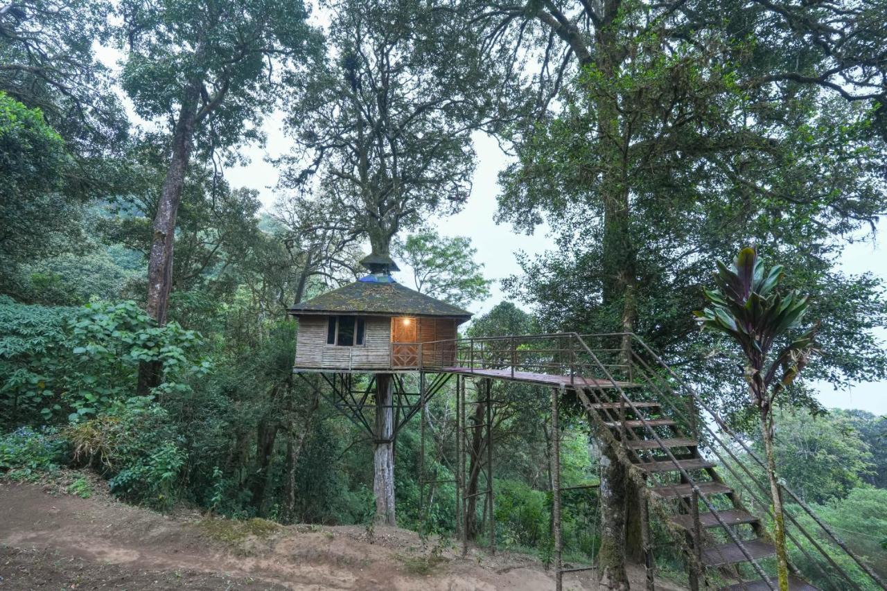 Nature Zone Jungle Resort 4*
