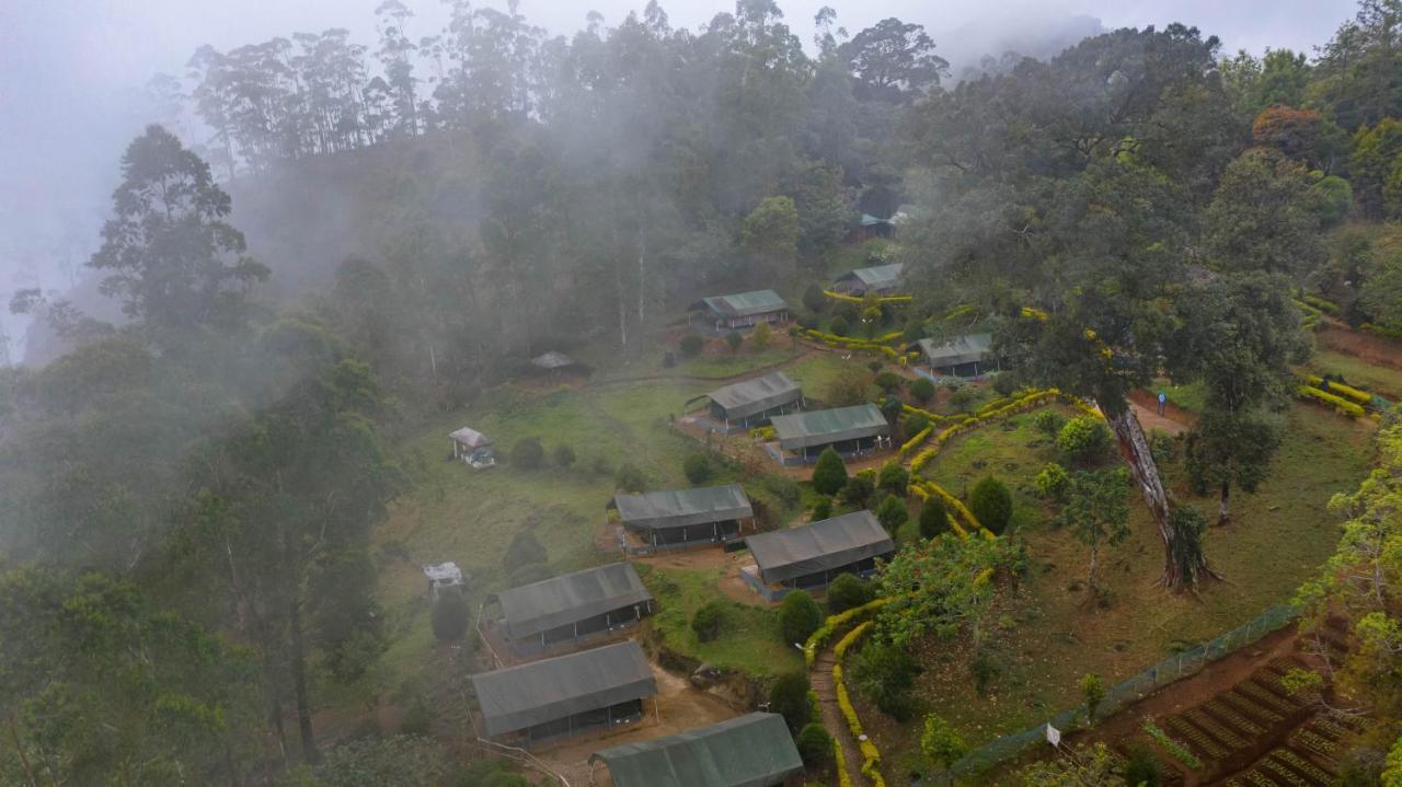 Nature Zone Jungle 4* Munnar