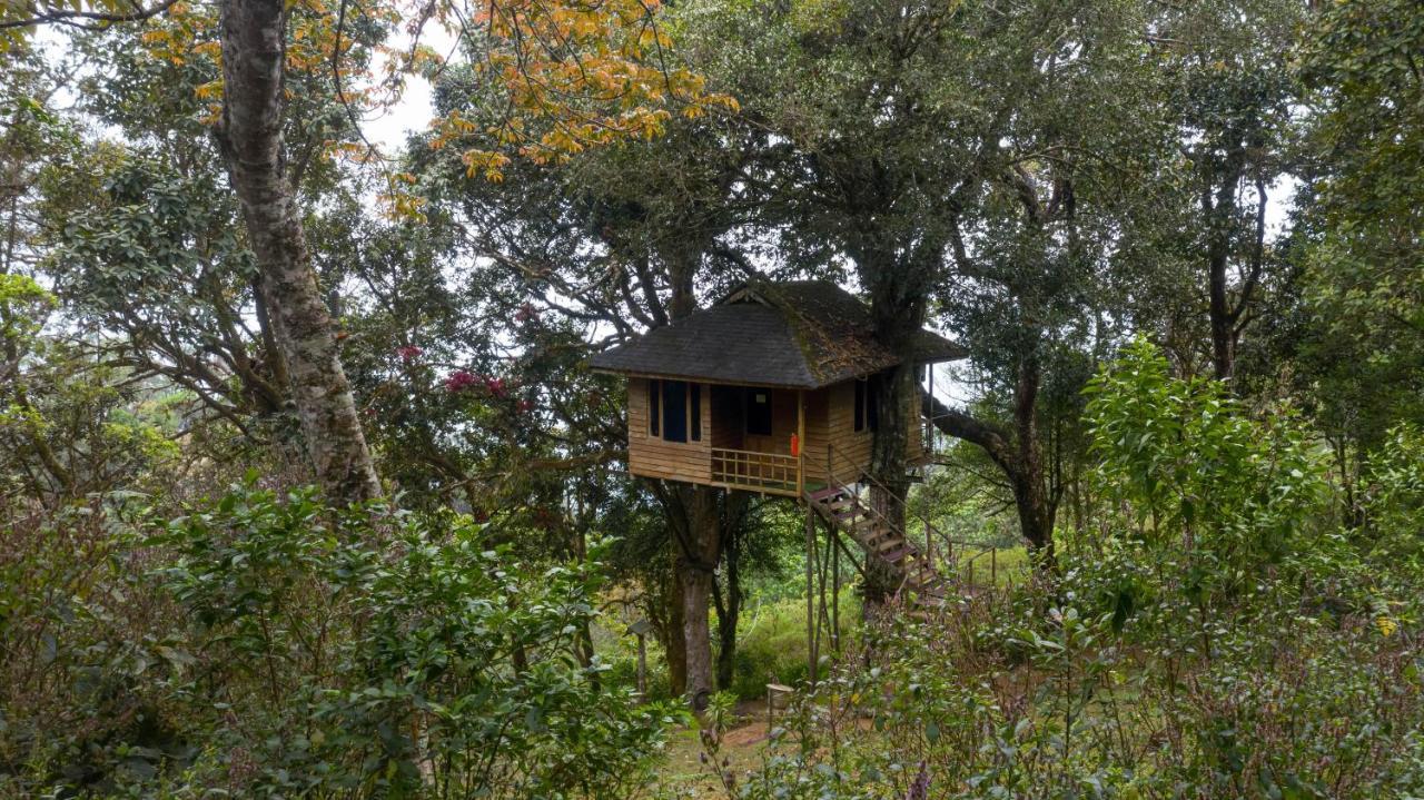Nature Zone Jungle Resort 4*
