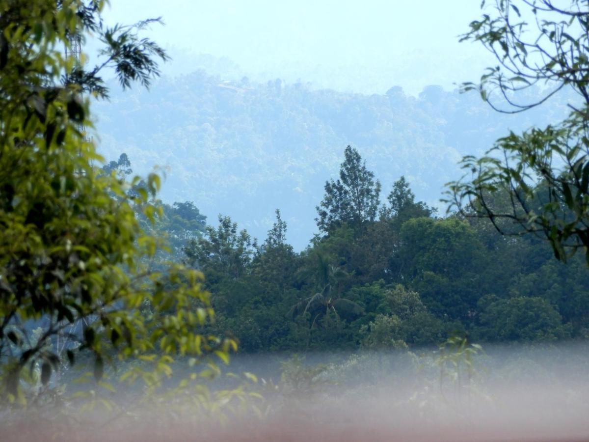 Homestay Drizzle Valley