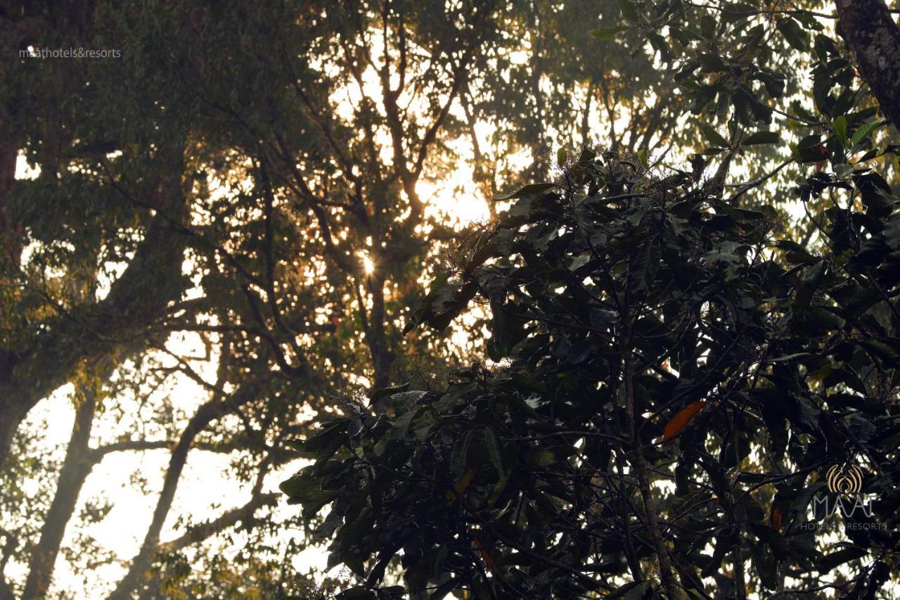 Dew Drops Farm * Munnar