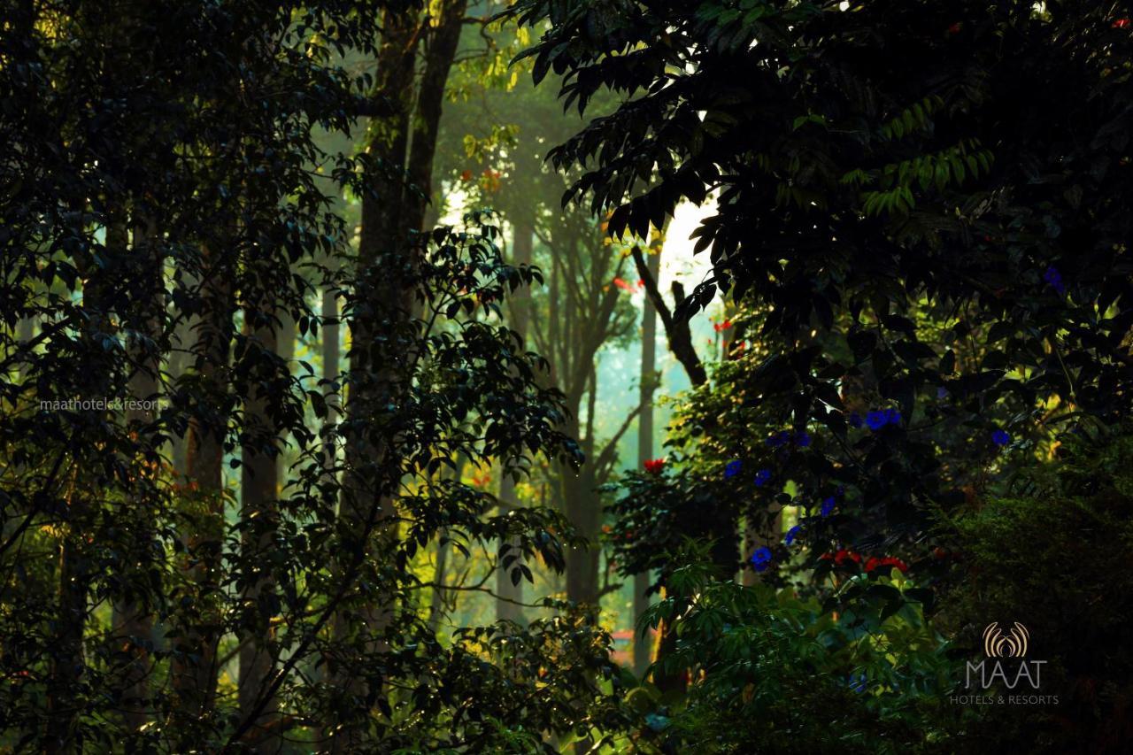 Farm stay Dew Drops Farm Munnar