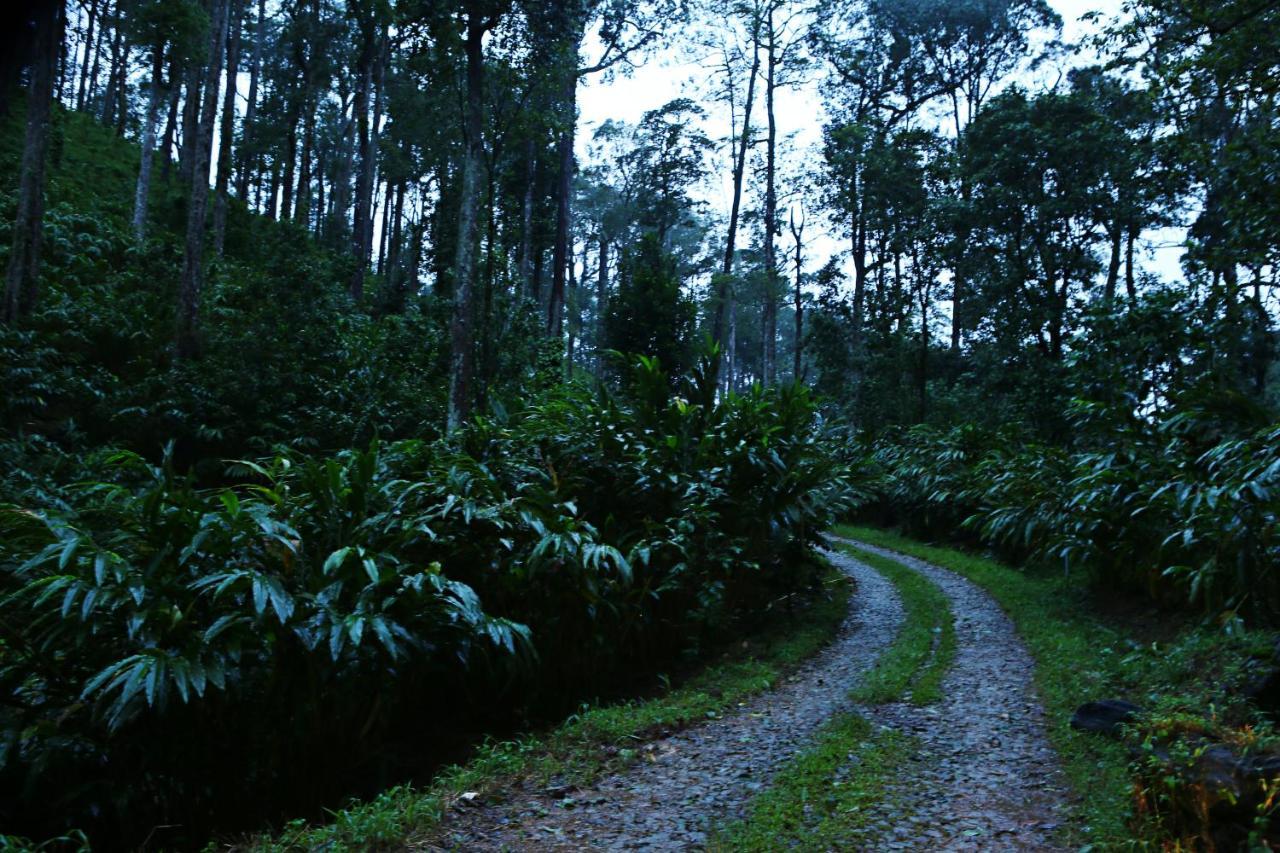 Farm stay Dew Drops Farm Munnar