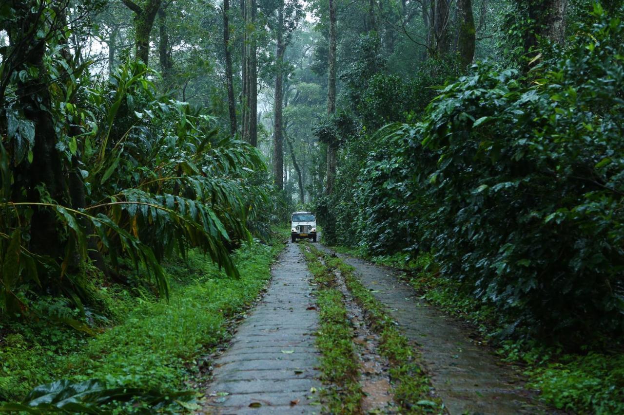 Dew Drops Farm * Munnar