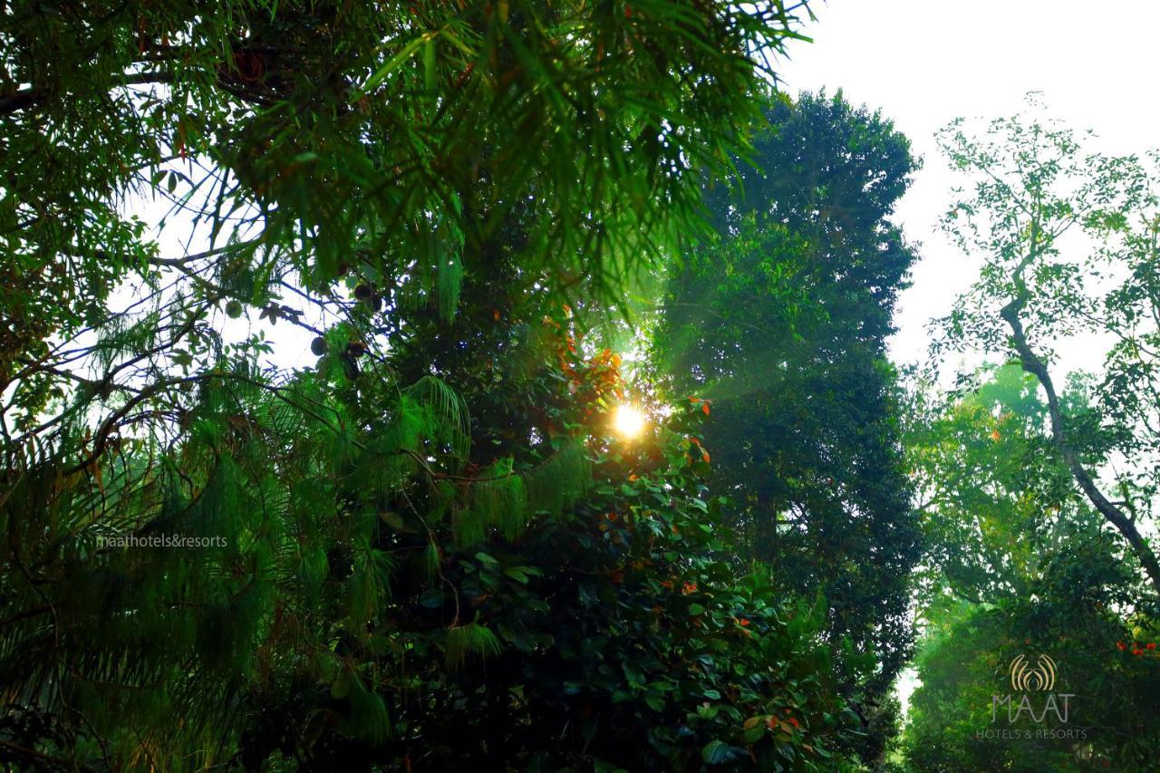 Dew Drops Farm Munnar