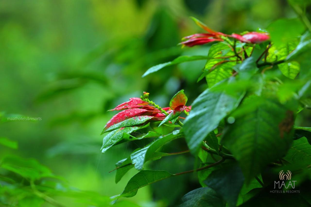 Dew Drops Farm Farm stay