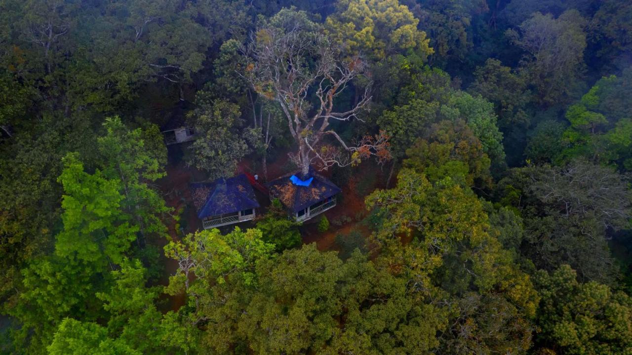 Nature Zone Jungle Munnar