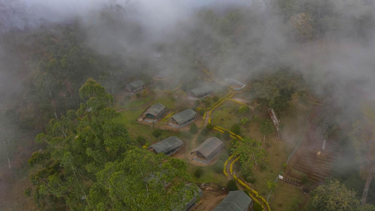 Nature Zone Jungle 4*