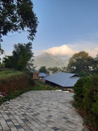 Ottway Hills Near Mattupetty Dam Resort Munnar