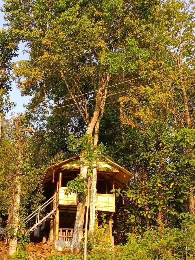 Guest house Fab - Bamboo Hut With Open Shower
