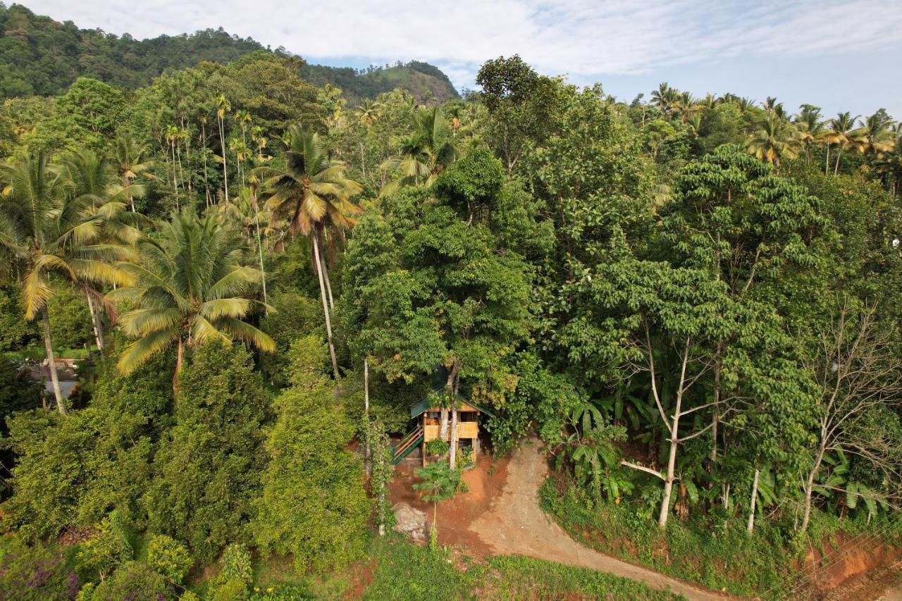 Fab - Bamboo Hut With Open Shower *