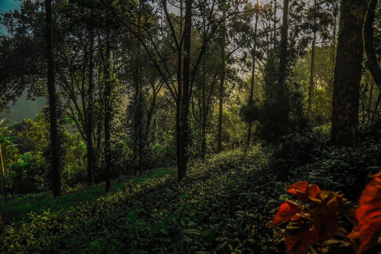 Southern Panorama Indriya & 5* Munnar