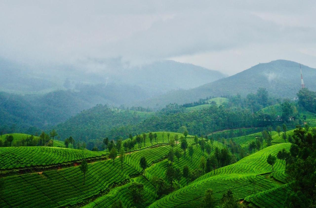 Homestay Lockhart - A Cgh Earth Saha Experience