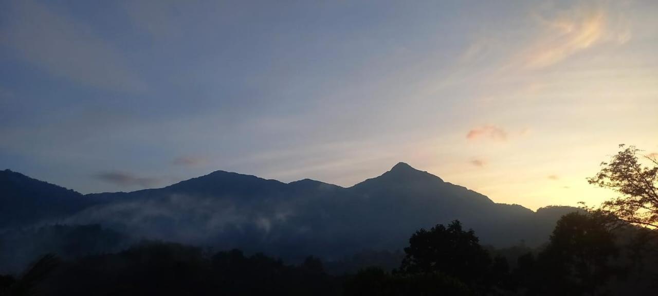 Magic Riverside Resort Munnar