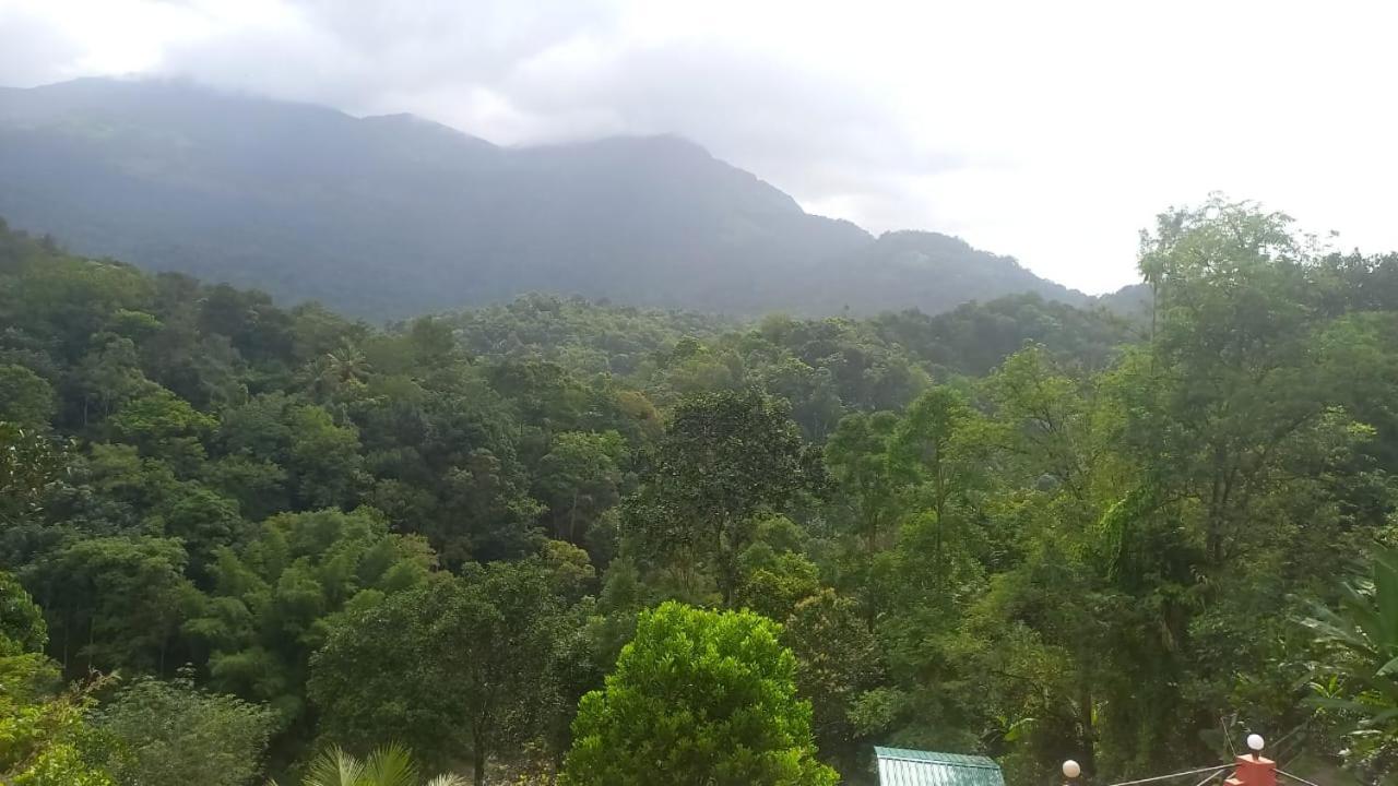 Magic Riverside * Munnar