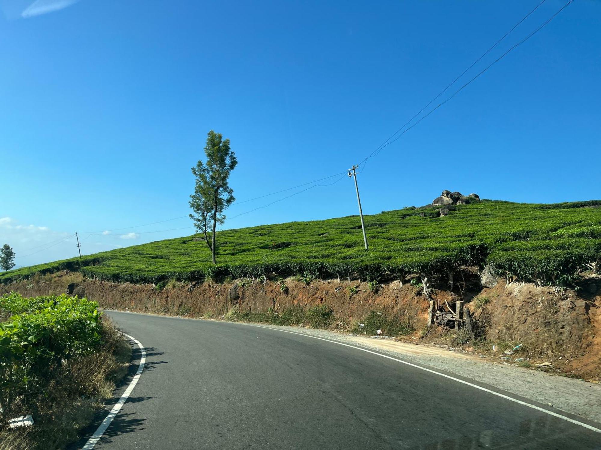 Homestay Maliyeckal