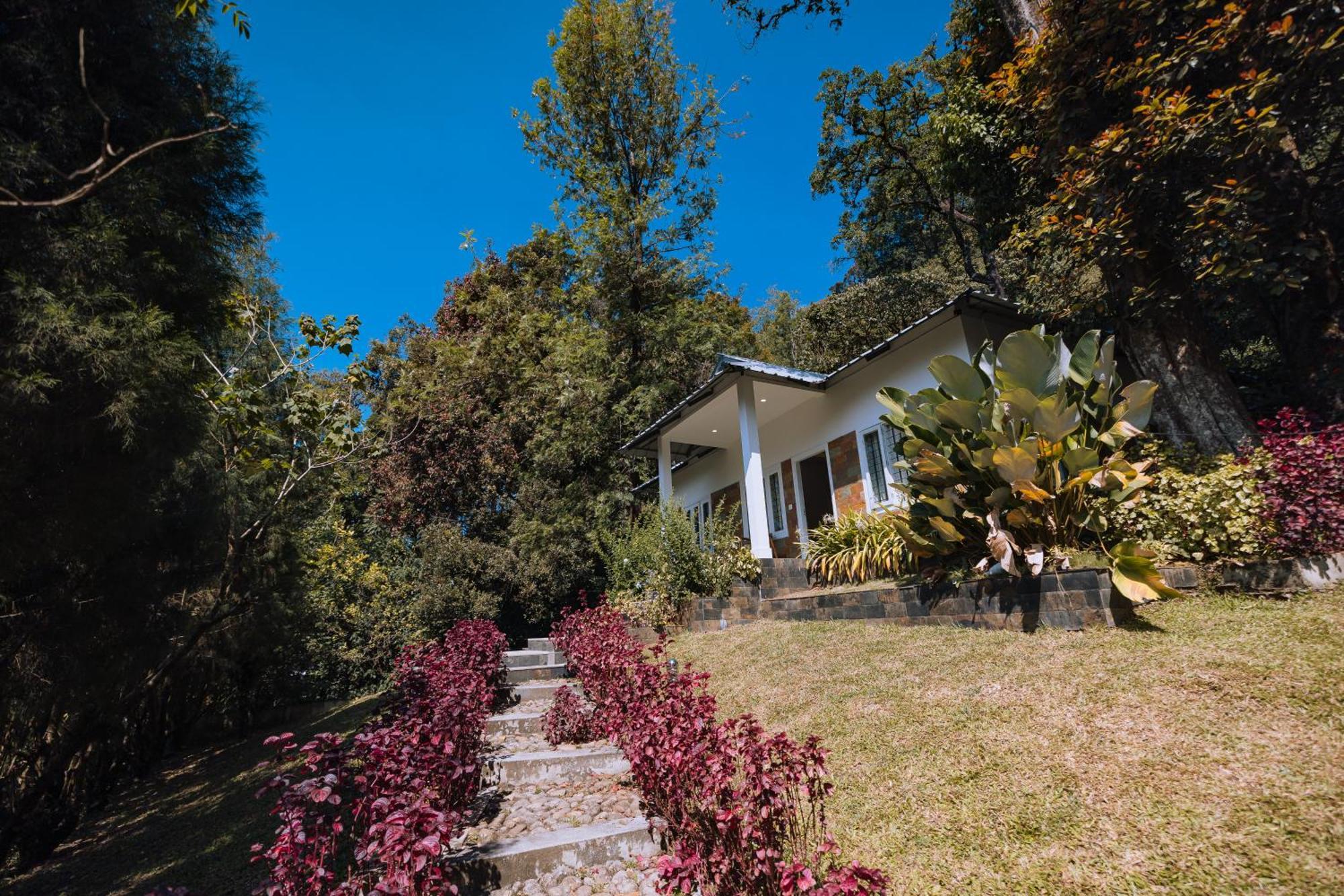 Elixir Woods Luxury And Spa, 4*