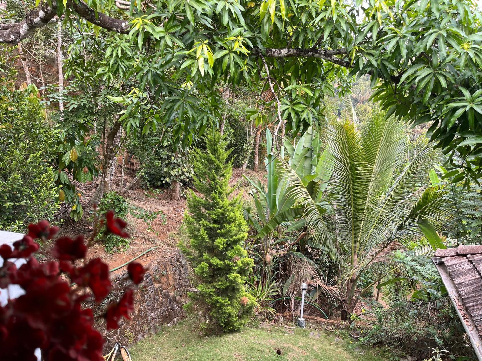 Maliyeckal Homestay Munnar