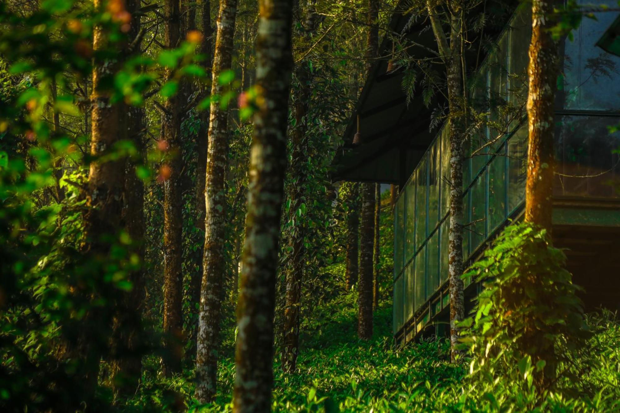 Resort Southern Panorama Indriya & Munnar