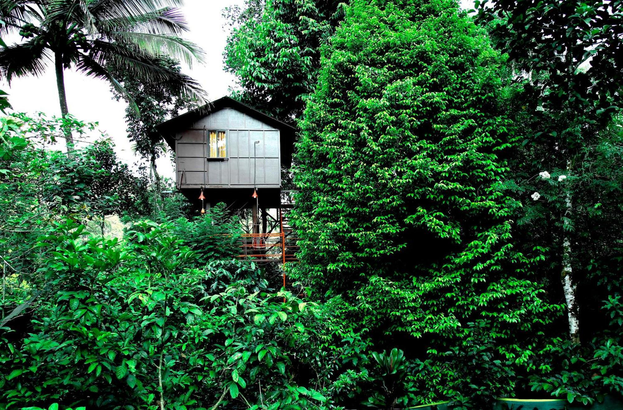 Holiday home The Wayside Munnar
