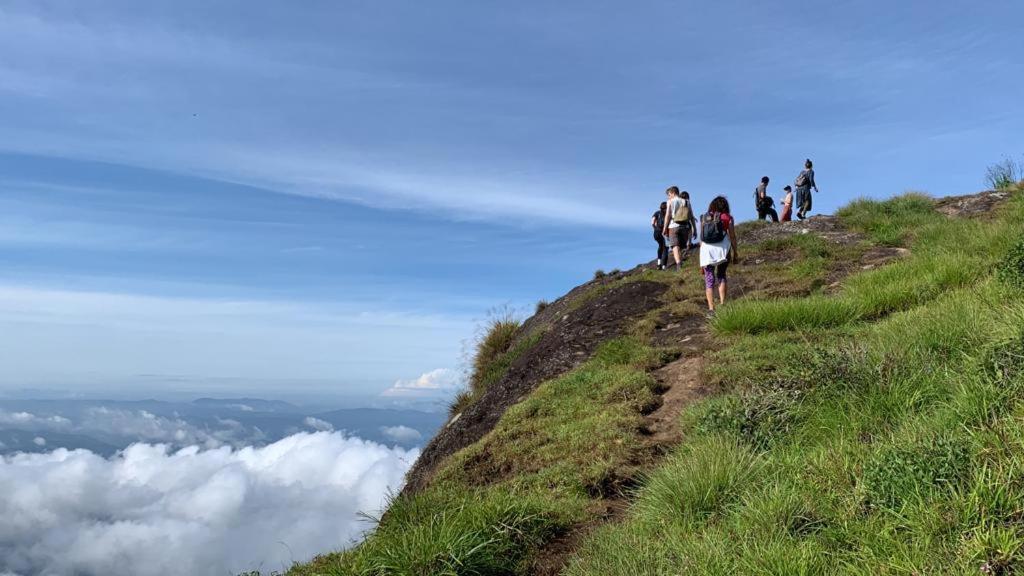 View Valley Homestay