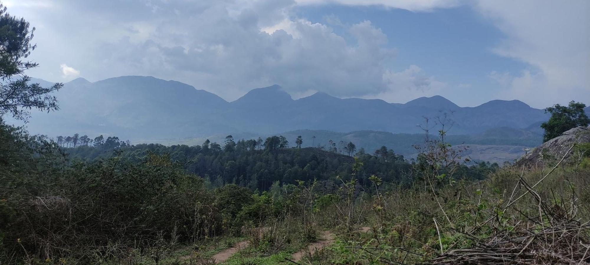 El Lora Resldency Bed & Breakfast Munnar
