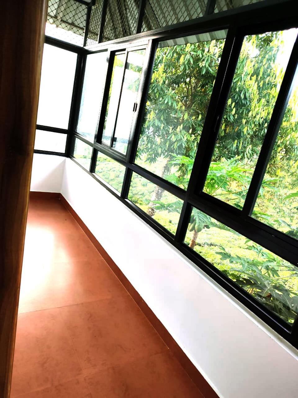 Tea & Sky Homestay