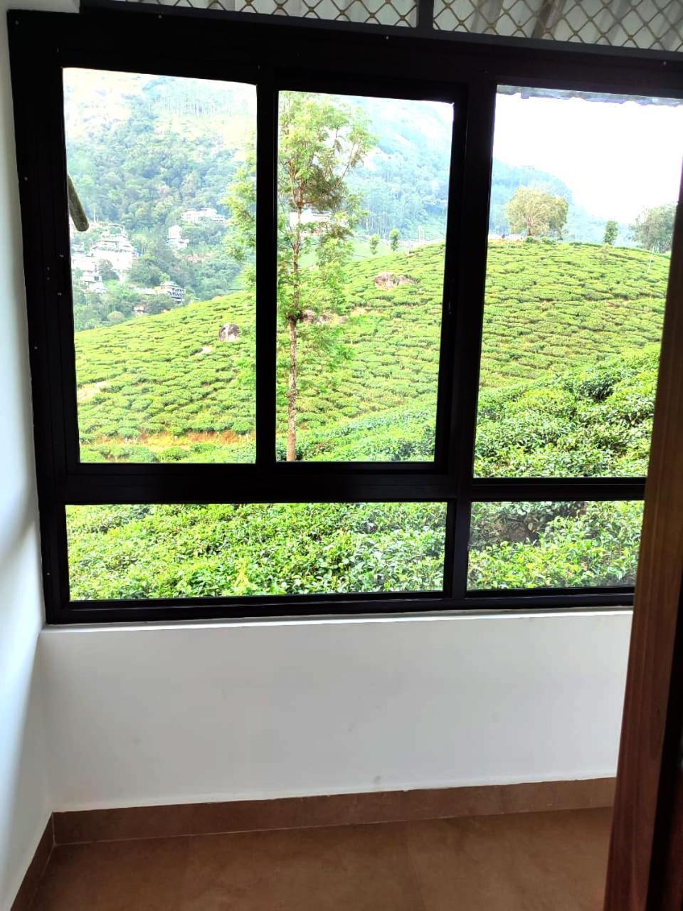Tea & Sky * Munnar