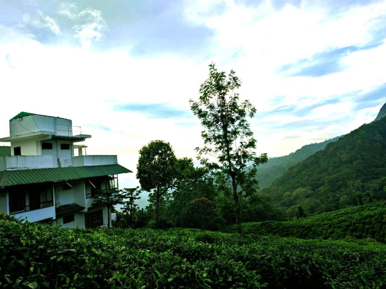 Tea & Sky Homestay *