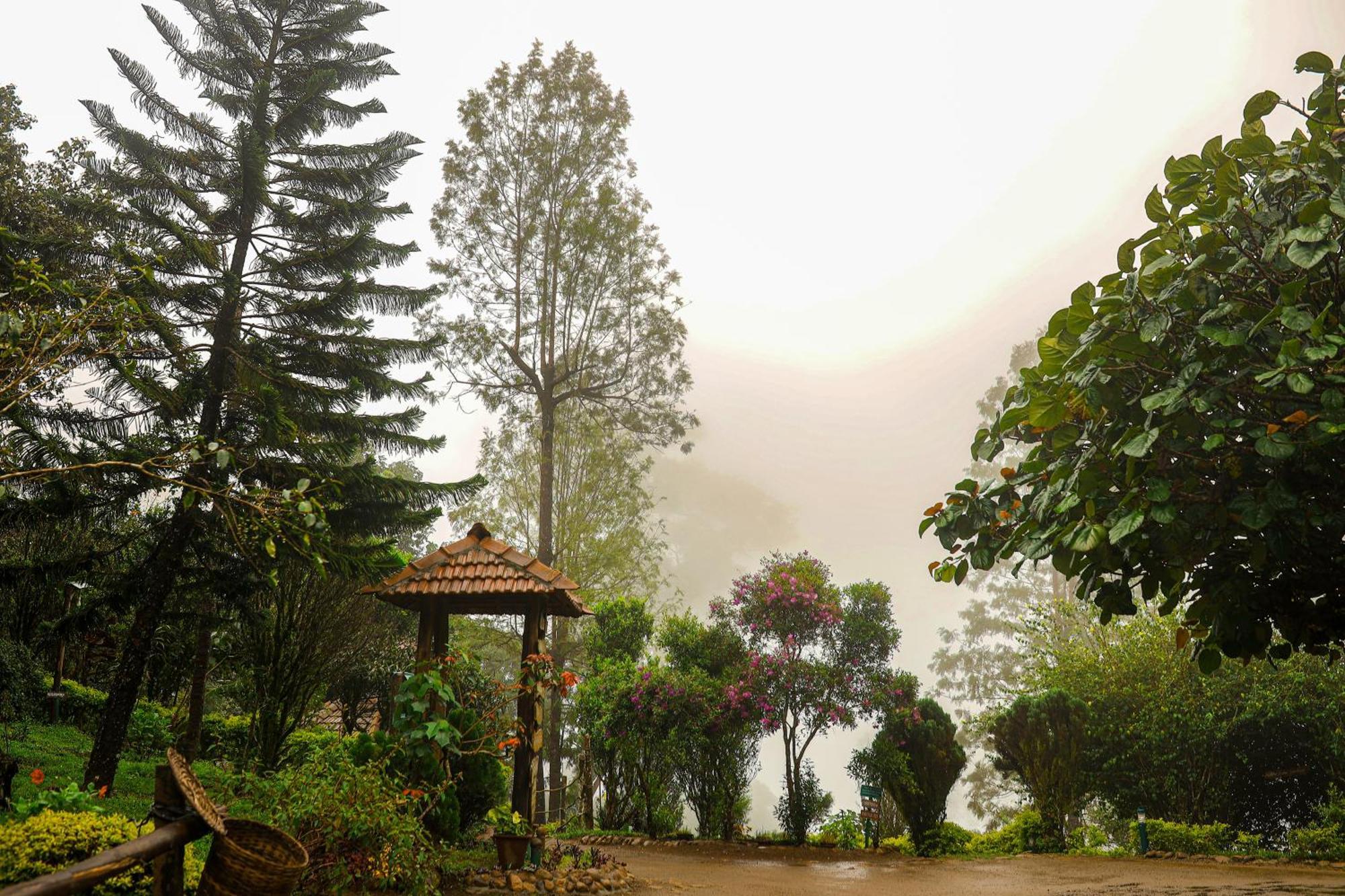 Resort Nature Zone Jungle Munnar