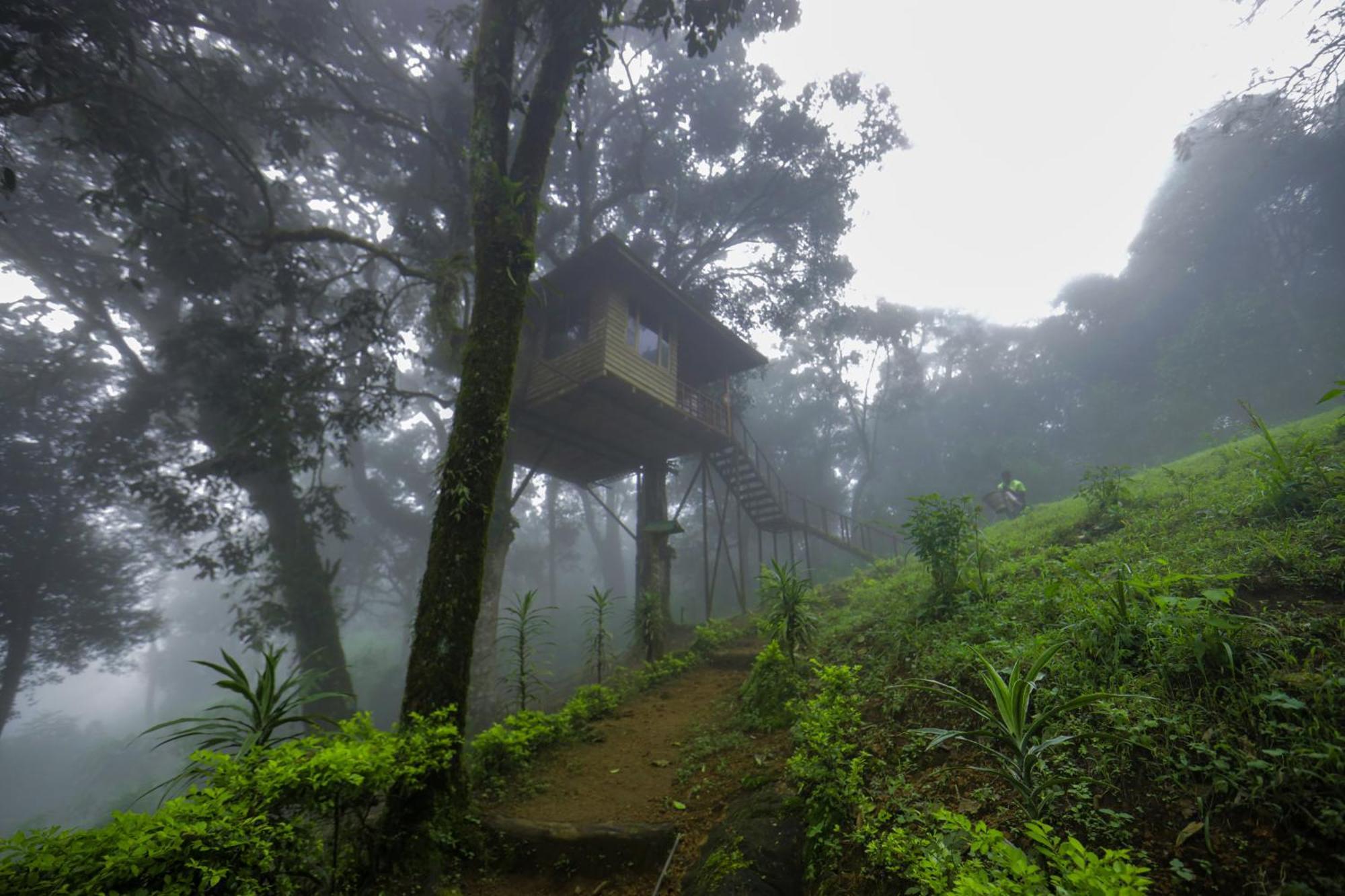 Nature Zone Jungle Resort 4*