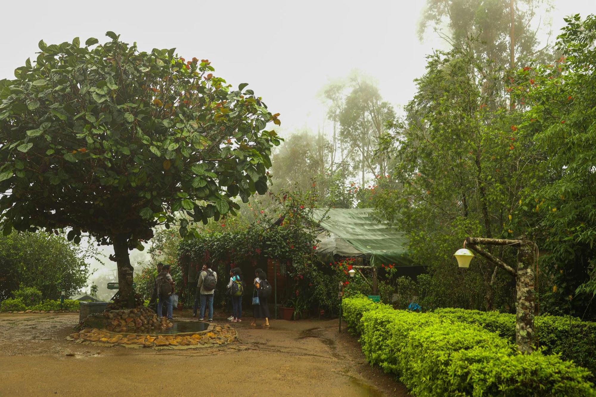 Nature Zone Jungle 4* Munnar