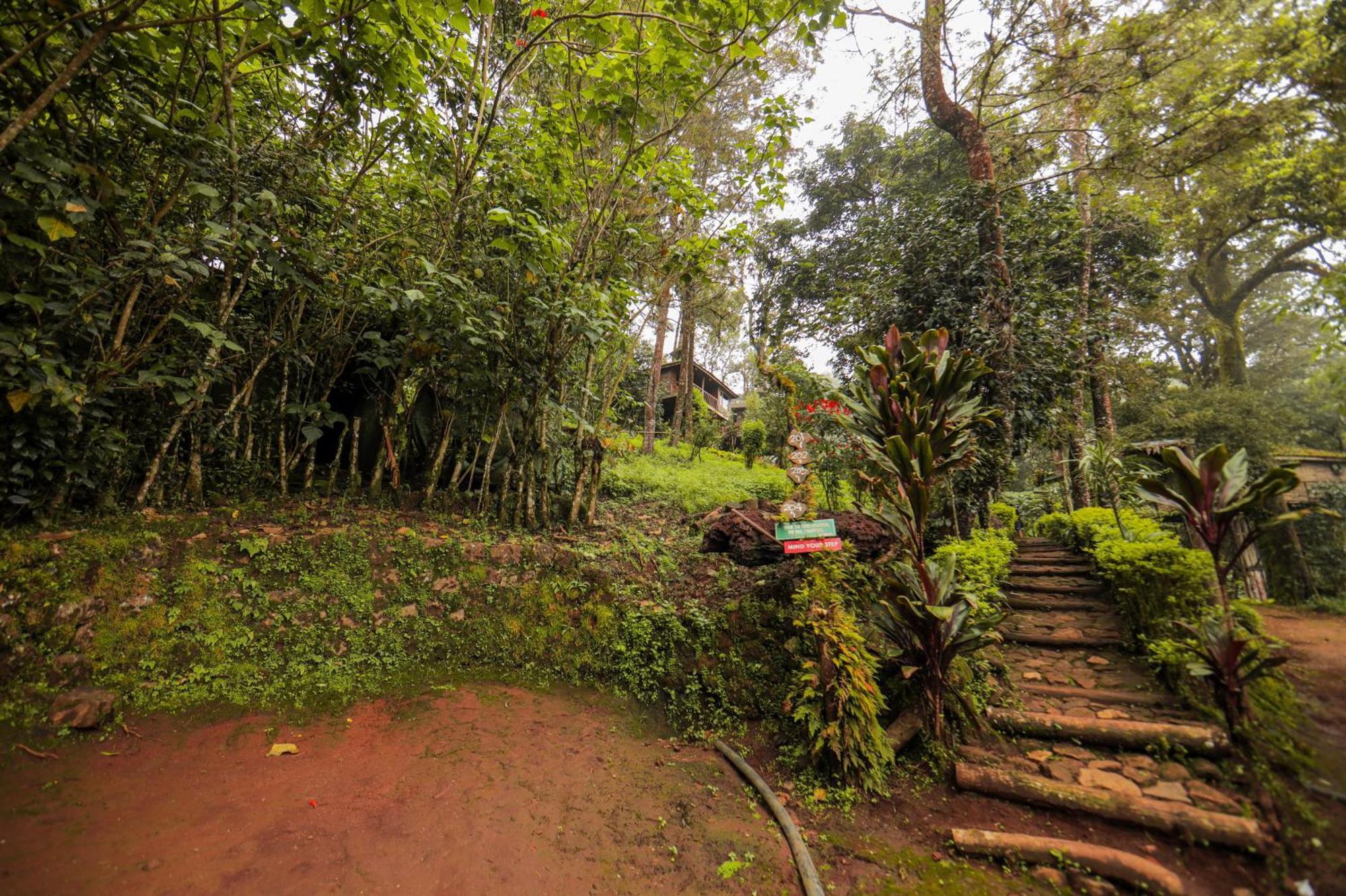 Resort Nature Zone Jungle