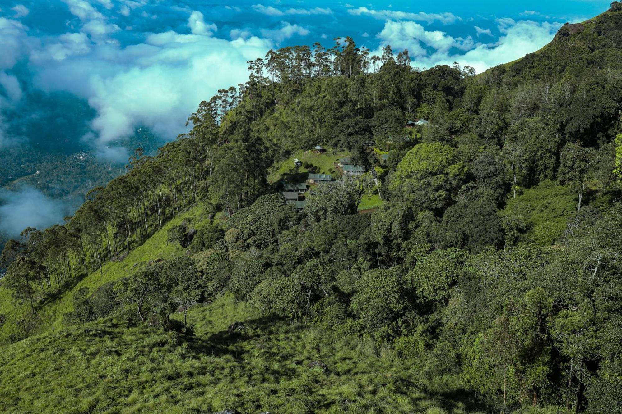 Nature Zone Jungle Resort 4*